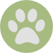 dog paw